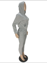 Load image into Gallery viewer, Plush Long Sleeve Zipper Hooded Sweashirts And Sports Pant Two Piece Set