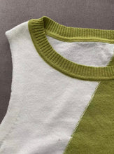 Load image into Gallery viewer, Color Block Sleeveless Tight Knit Mini Dress