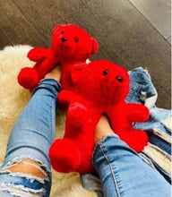 Load image into Gallery viewer, A Teddy Bear Slippers and Pink Duffle Bag

